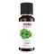 Basil Oil - 30ml (1fl.oz)