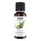 Eucalyptus Globulus Oil - 30ml (1fl.oz)