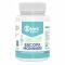 Bacopa Monnieri 500mg - 60caps
